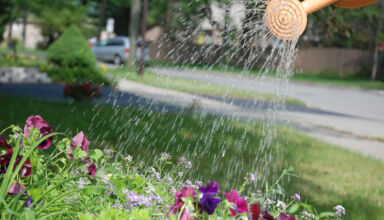 A zöldterületek megőrzése és bővítése a súlyos vízhiány körülményei között